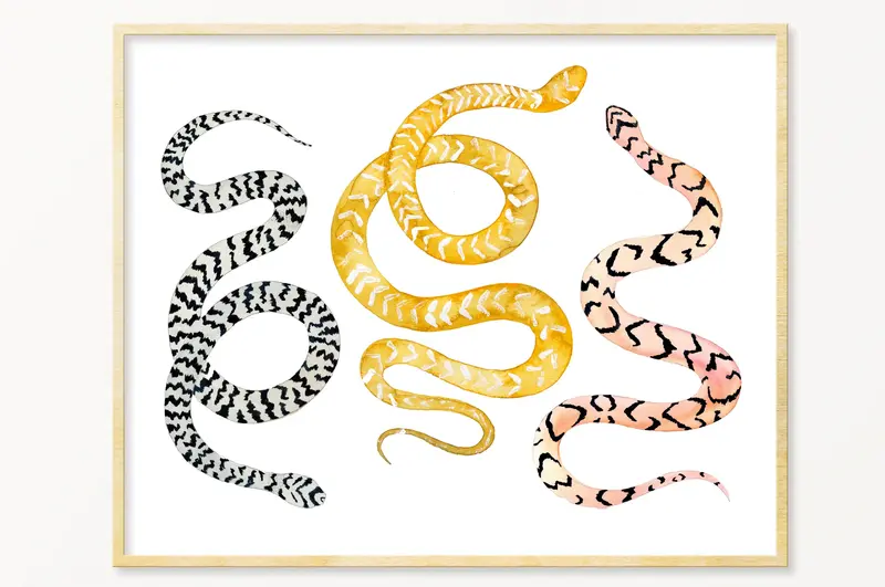 8x10 Snoogs & Wilde Art Snakes Abstract Print