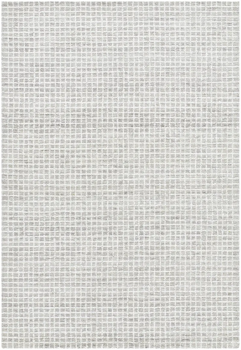 Anahid Gray Area Rug