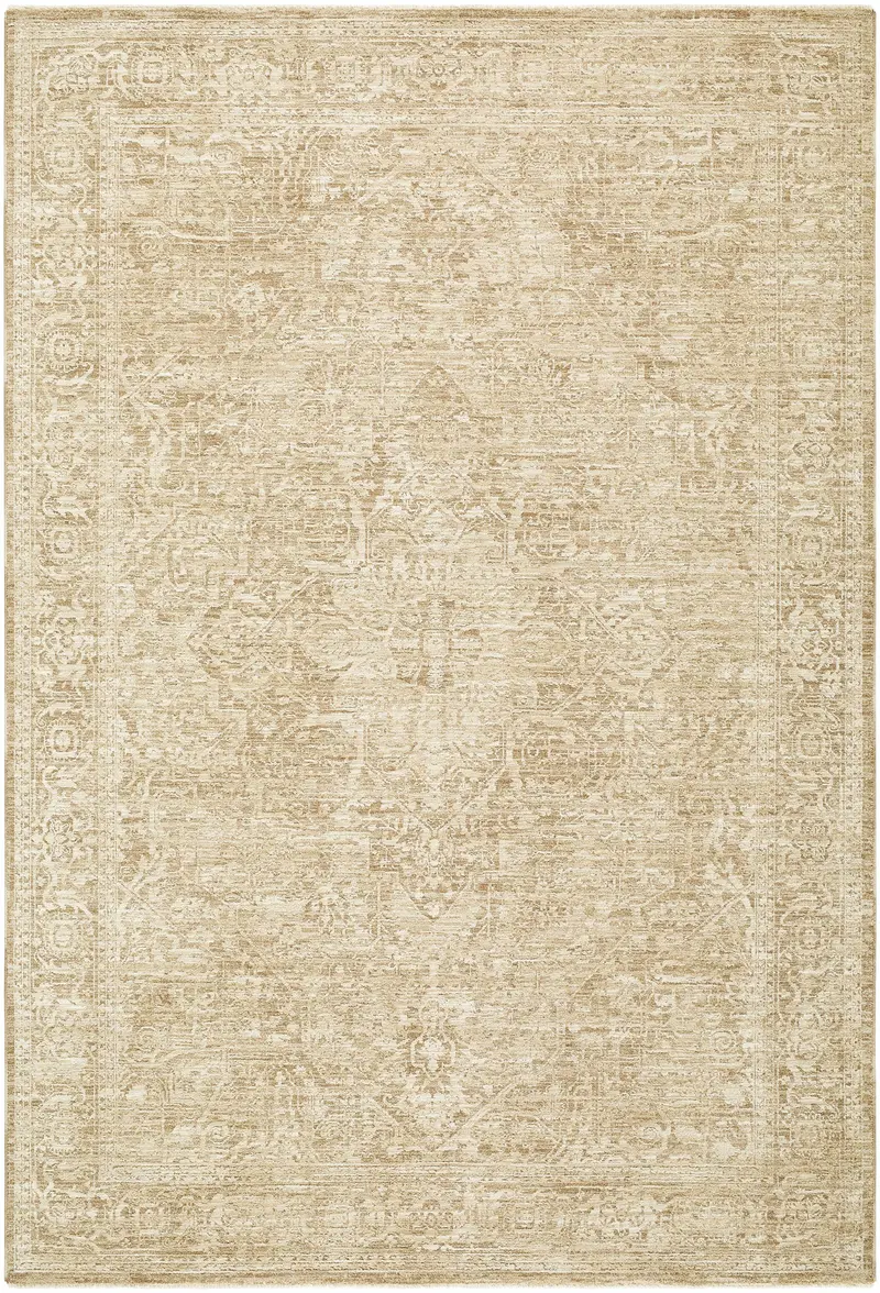 Antoan Sandstone Area Rug