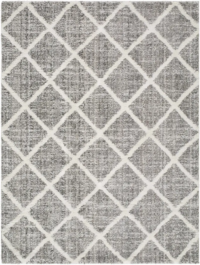 Anuhea Light Gray Area Rug