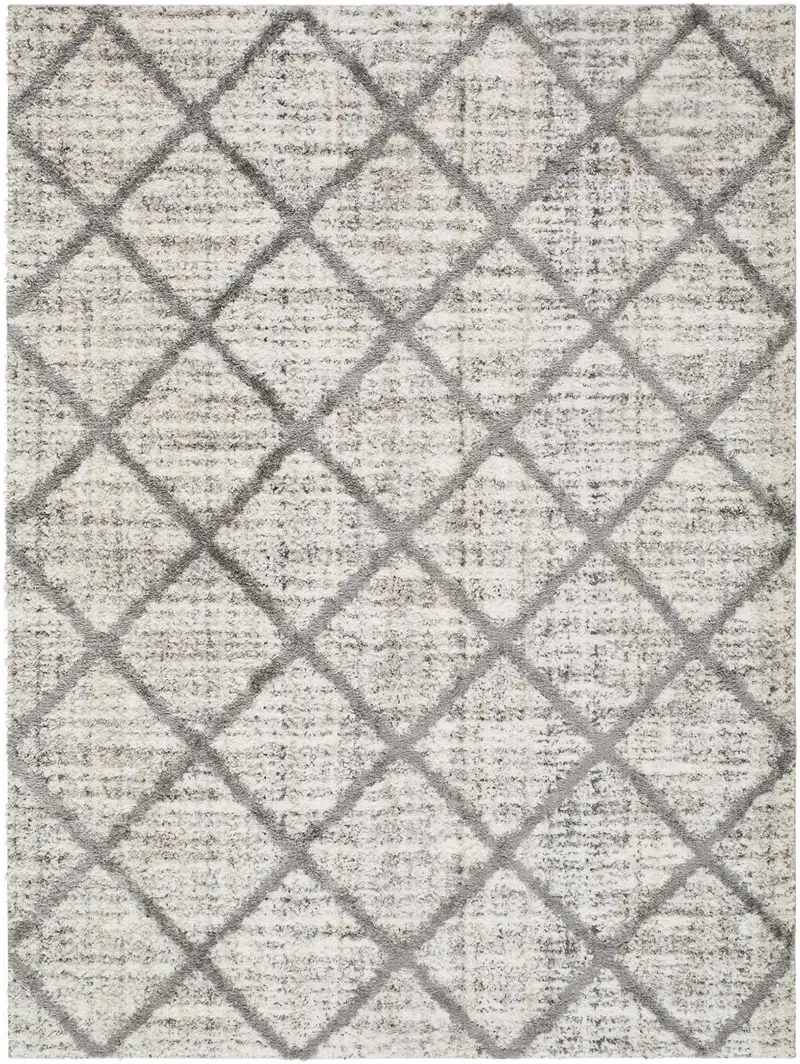 Anuhea Off White Area Rug