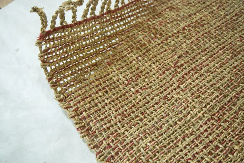 Apple New Carpet Collection