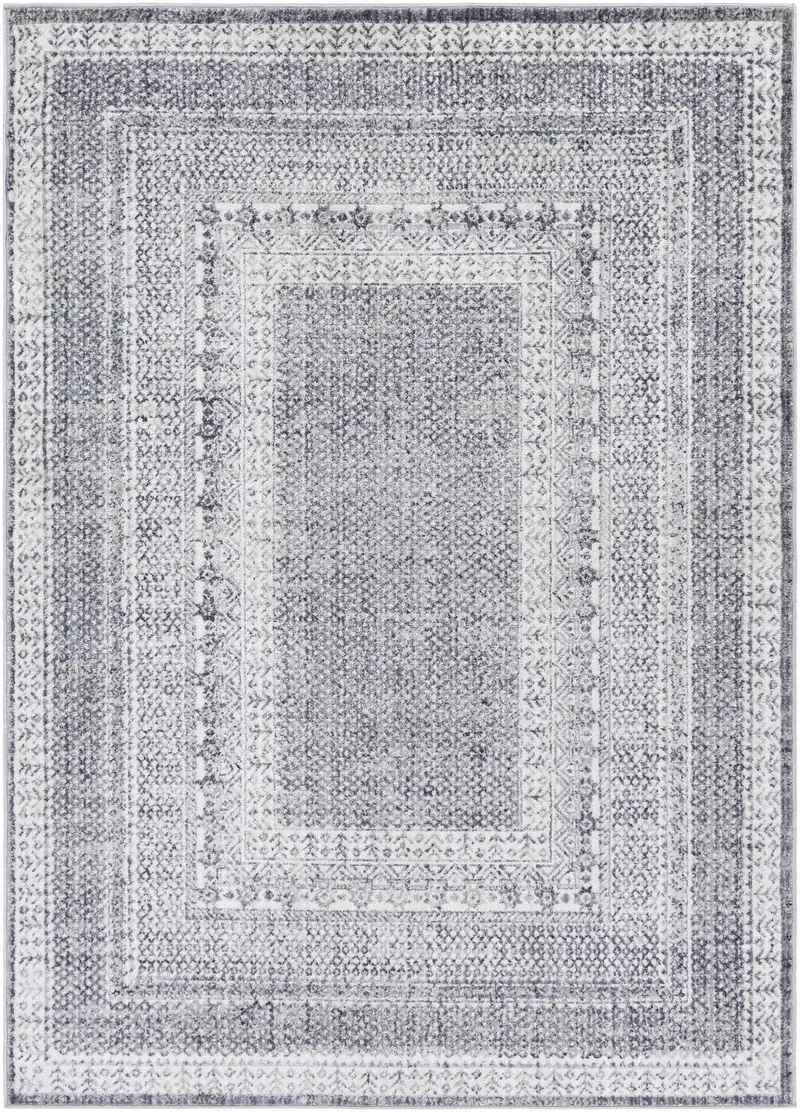 Blarney Area Rug - Clearance
