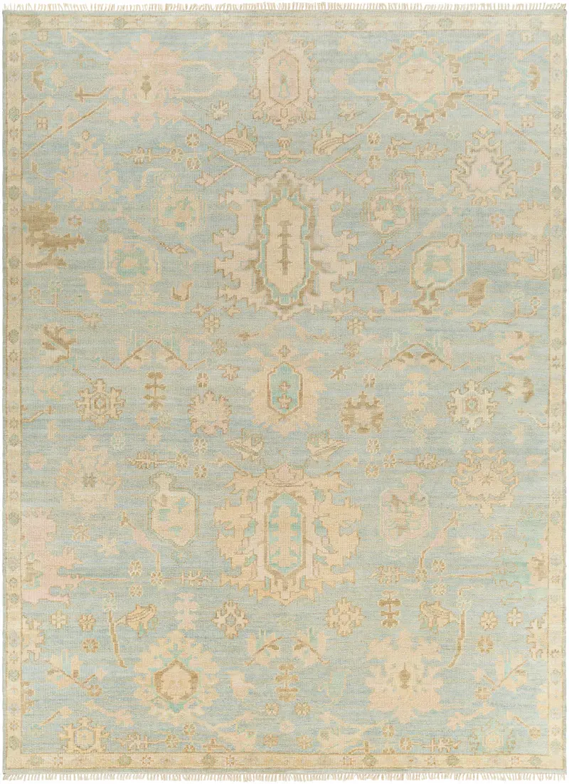 Blue Amiri Area Rug - Clearance