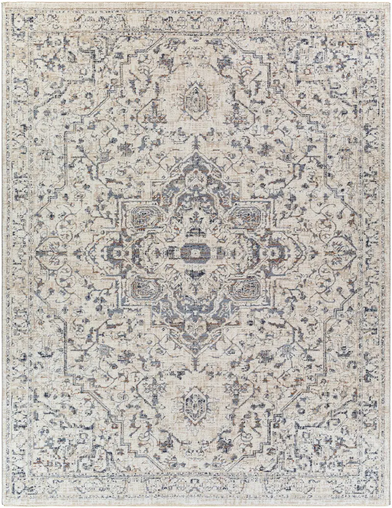 Buguey Area Rug - Clearance