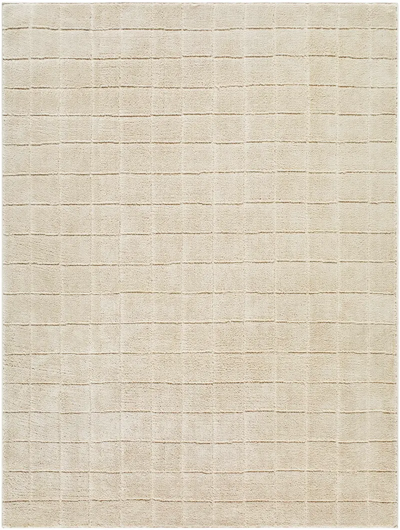 Cascade Checkered Beige Area Rug
