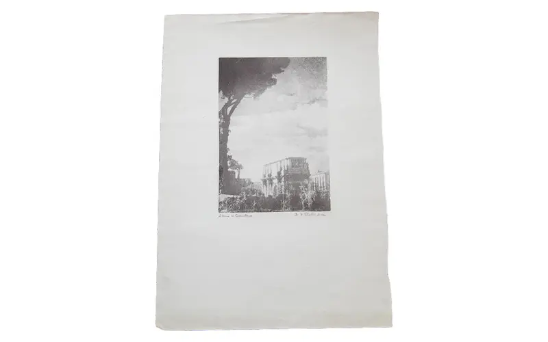 Dark Tree D.R. Peretti Bromoil Print