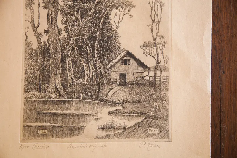 Enchanted Cottage in the Woods