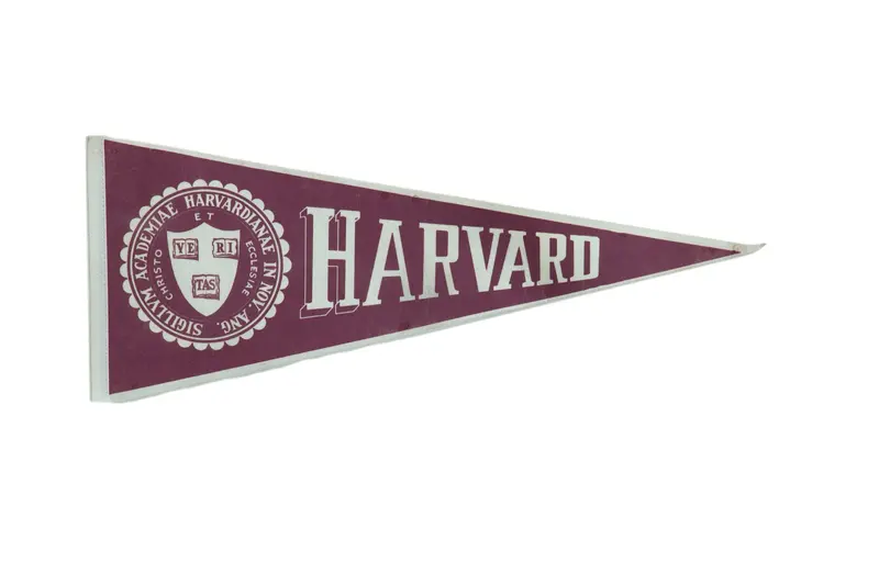 Harvard Felt Flag Pennant