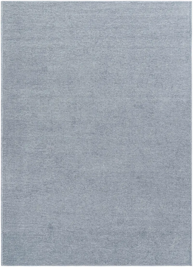 Isako Blue & Gray Solid Washable Area Rug - Clearance