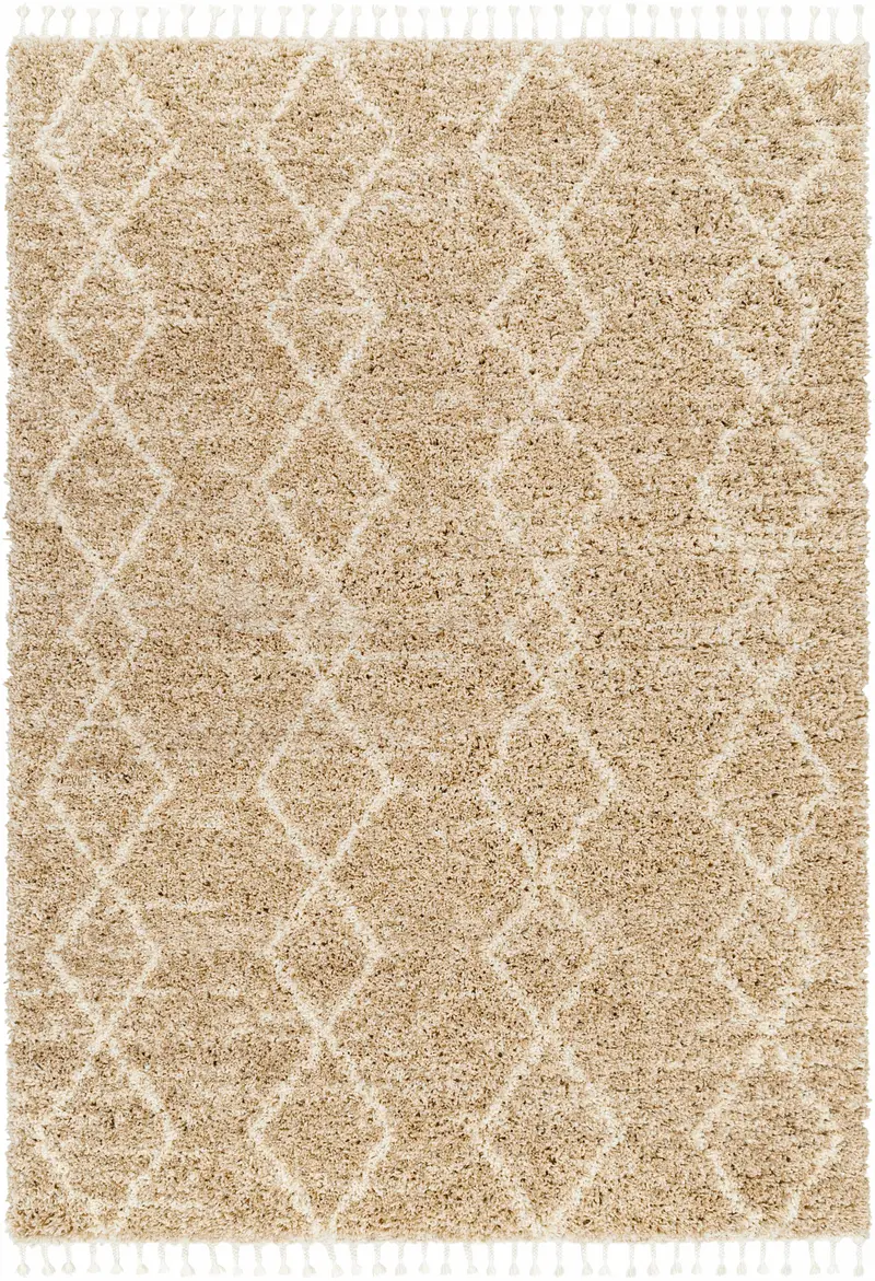 Ishan Area Rug - Clearance