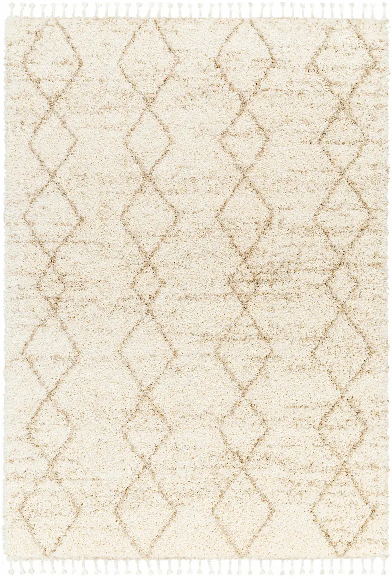Ishan Cream Area Rug - Clearance
