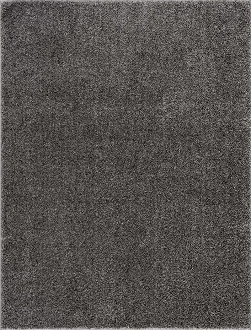 Judy Solid Dark Gray Washable Shag Rug