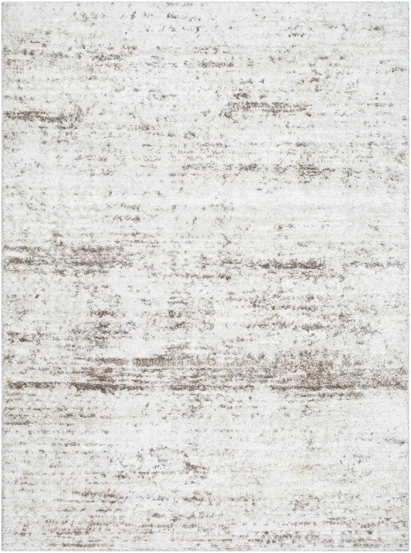 Kohaku Light Gray Area Rug