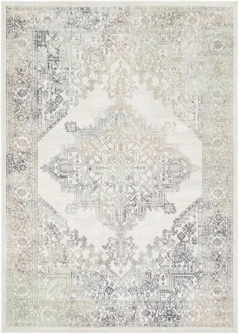 Masud Area Rug - Clearance
