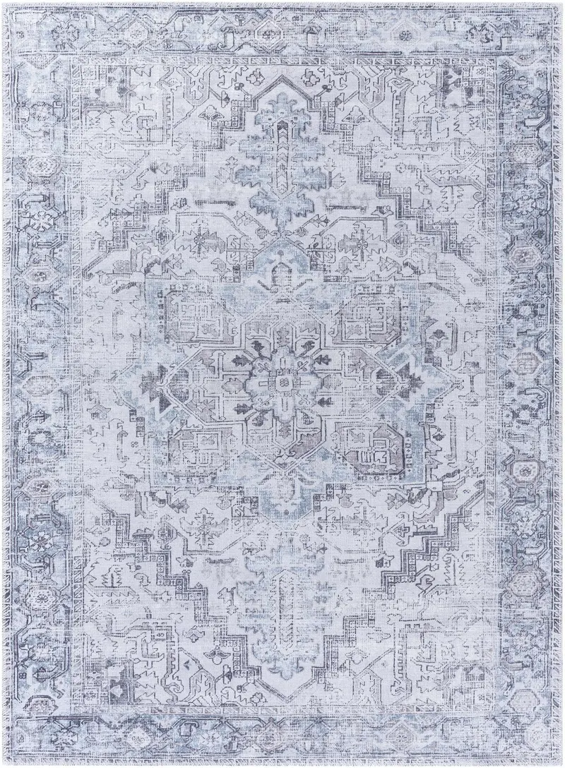 Nadia Silver Gray Area Rug - Clearance