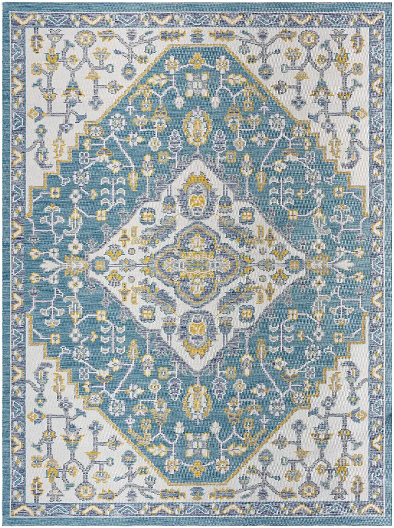 Nahla Outdoor Area Rug - Clearance