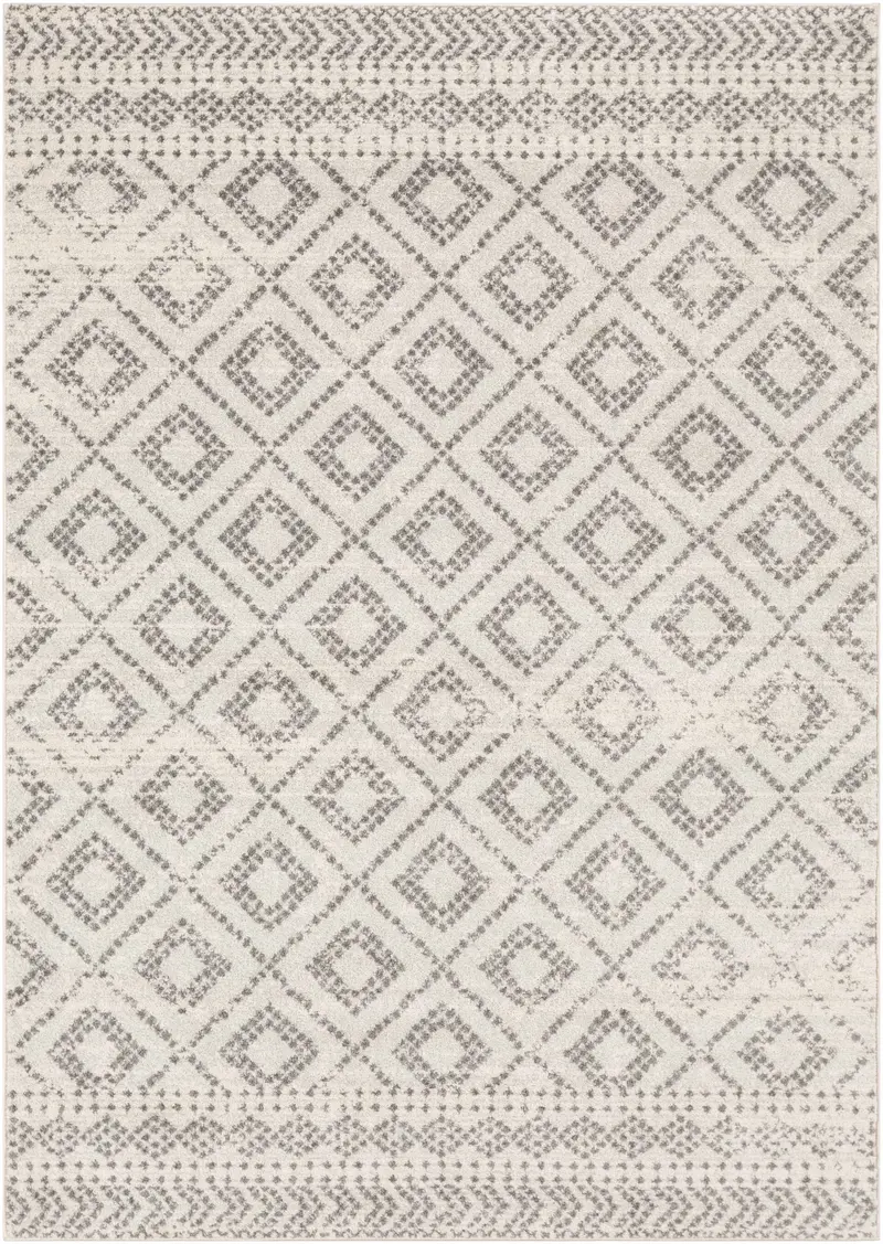 Romeoville Area Rug - Clearance