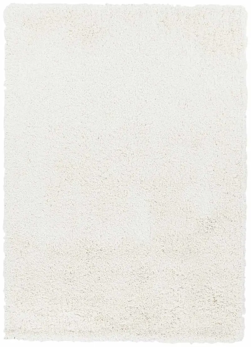 Rowdy Carpet - Clearance