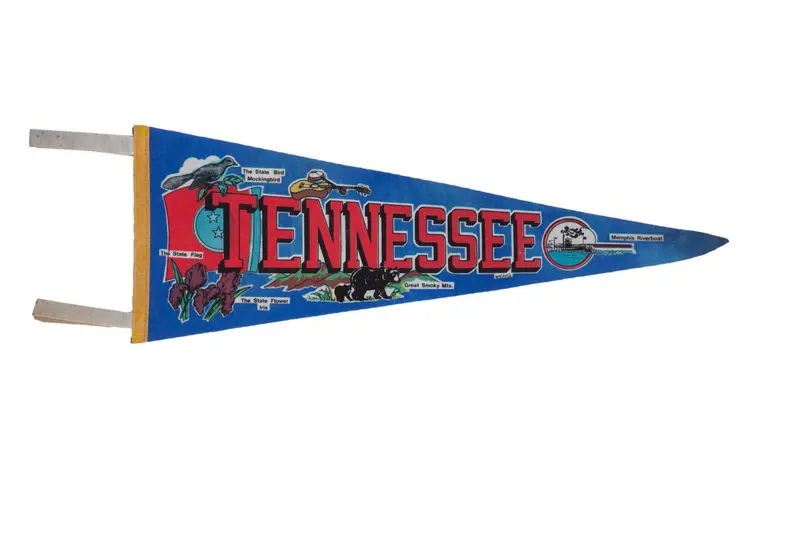 Tennessee Felt Flag Pennant