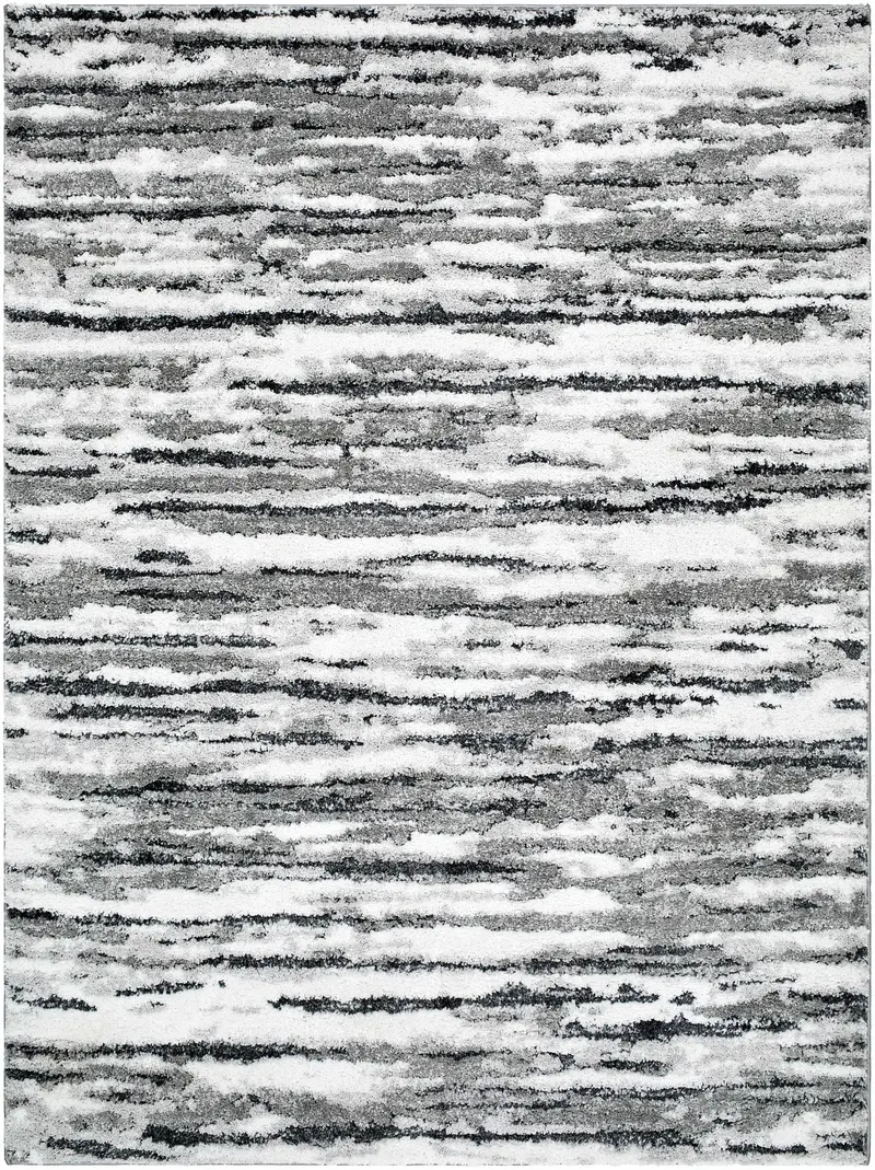 Vembo Area Rug - Clearance