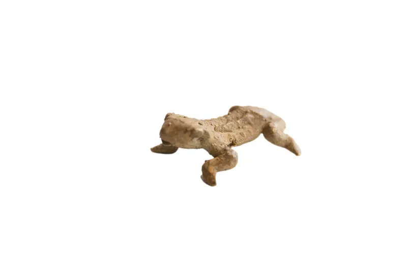 Vintage African Frog Figurine