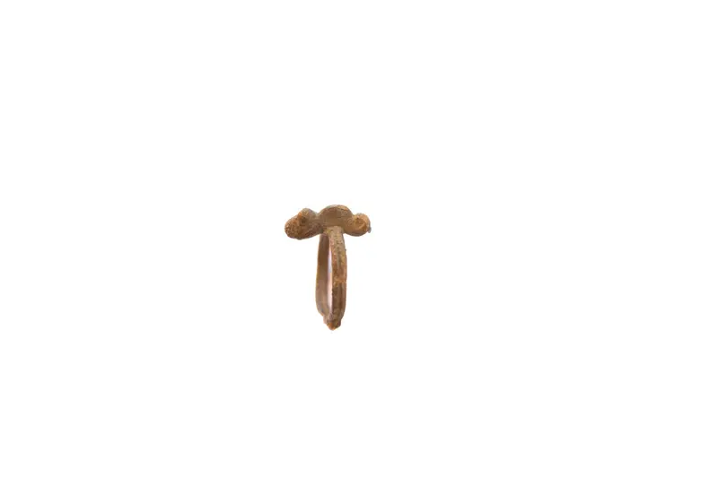 Vintage African Thin Chameleon Ring