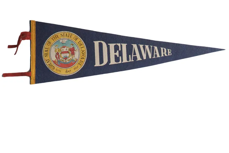 Vintage Delaware Felt Flag Pennant
