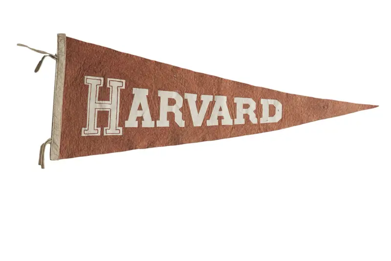 Vintage Harvard Felt Flag Pennant