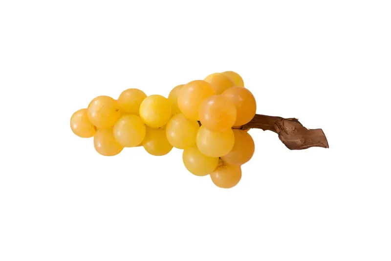 Vintage Stone Artificial Grapes