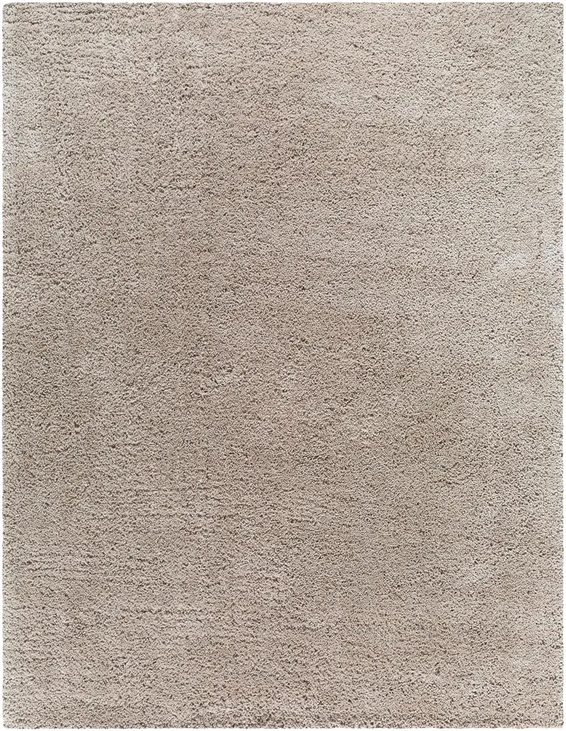Wakeeney Beige Shag Rug - Clearance