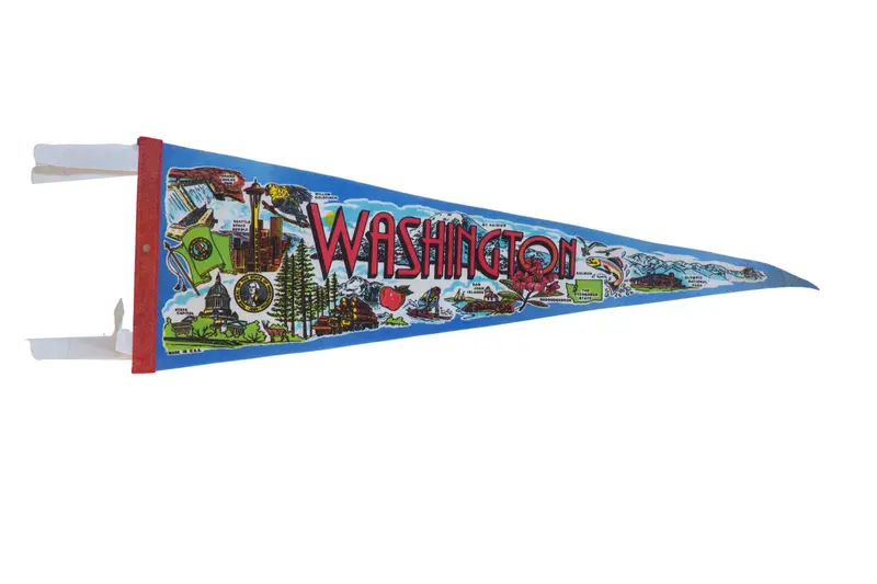 Washington Felt Flag Pennant